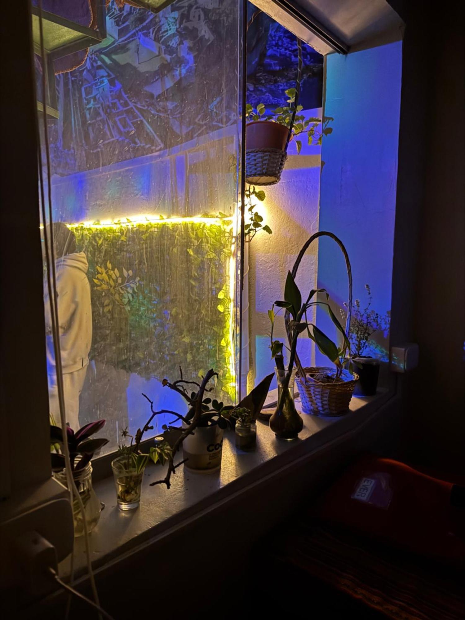 Ukumari Hostel Куско Экстерьер фото